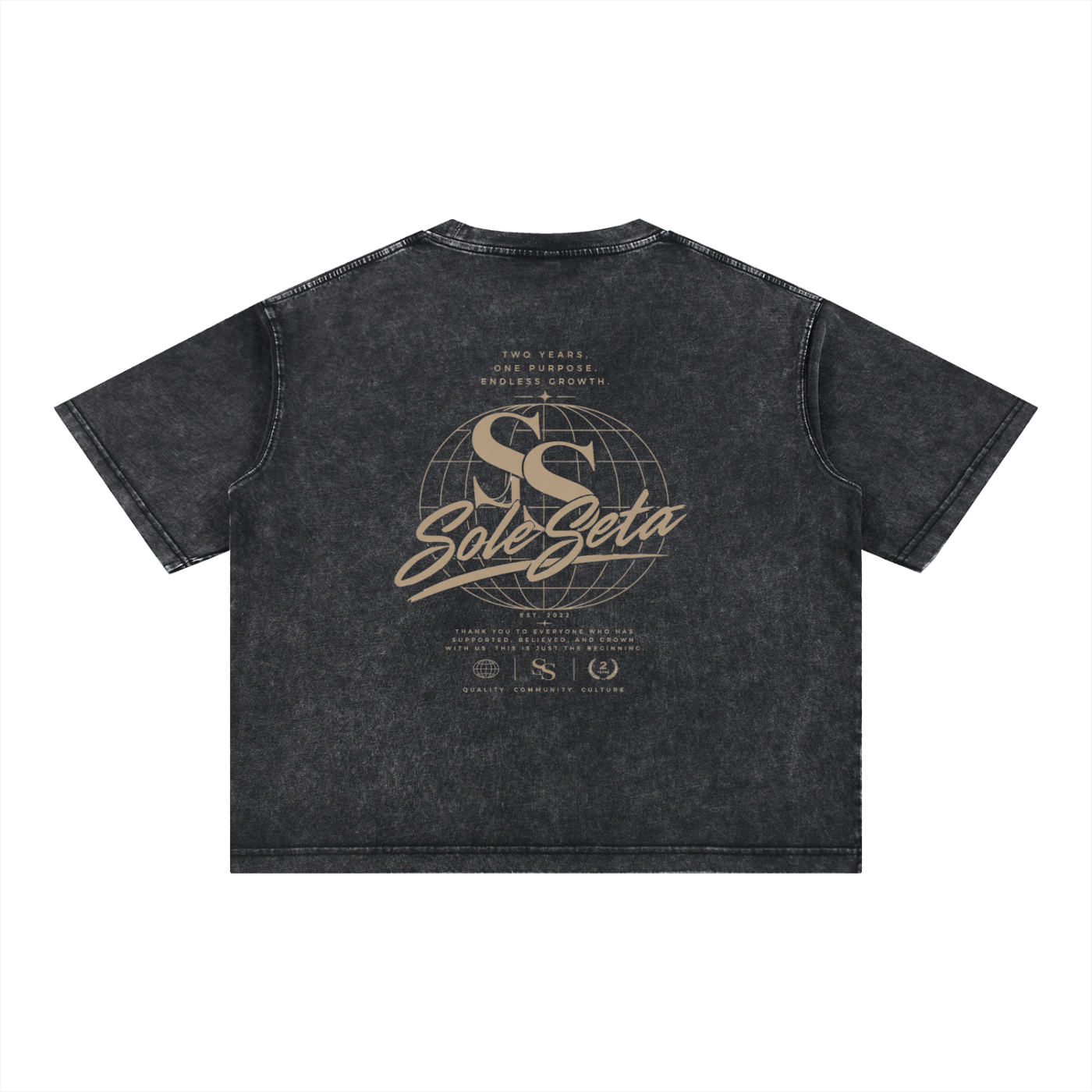 2 Year Anniversary Oversized T